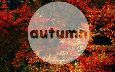 Autumn Leaves指弹谱_卢家宏_原版指弹谱_独奏六线谱