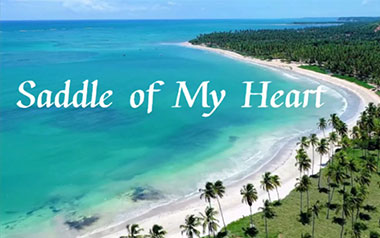 Saddle Of My Heart吉他谱_Teloupe_C调指法_图片六线谱