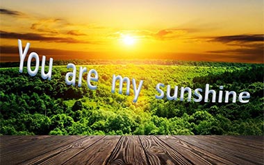 You Are My Sunshine吉他谱_C调指法弹唱谱_图片六线谱
