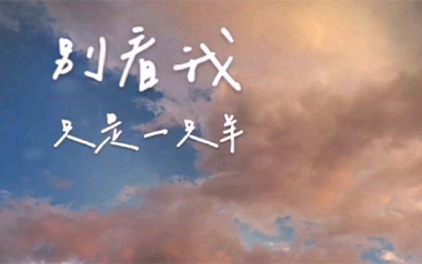 别看我只是一只羊吉他谱_沈以诚_C调指法_图片六线谱