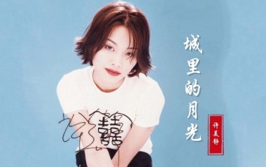 城里的月光吉他谱_许美静_G调指法弹唱谱_图片六线谱