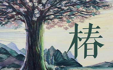 椿吉他谱_沈以诚_《椿》C调原版弹唱谱_图片六线谱