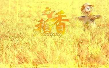 稻香吉他谱_周杰伦_稻香A调原版弹唱谱_图片六线谱