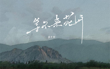 等不来花开吉他谱_Pro_C调原版弹唱谱_图片六线谱