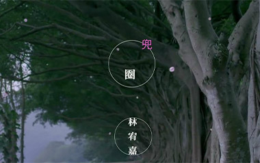兜圈吉他谱_林宥嘉_C调简单版弹唱谱_图片六线谱
