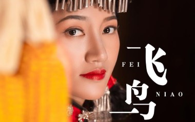 飞鸟吉他谱_曲木阿依_G调原版弹唱谱_图片六线谱