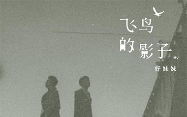 飞鸟的影子吉他谱_好妹妹乐队_G调原版弹唱谱_图片六线谱