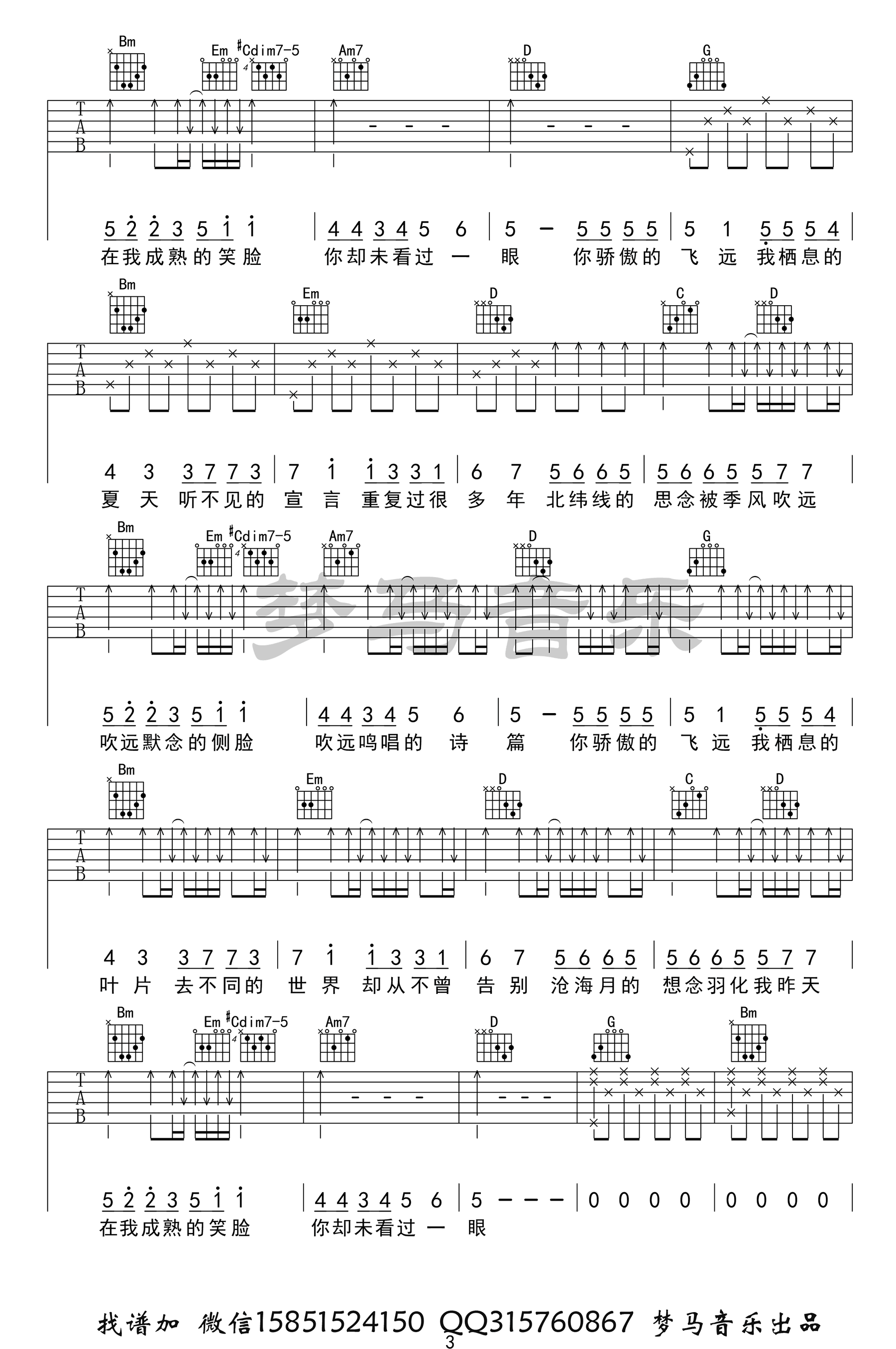 飞鸟和蝉吉他谱3-任然