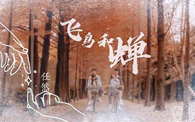 飞鸟和蝉吉他谱_任然_C调简单版_图片六线谱