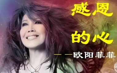 感恩的心吉他谱_欧阳菲菲_C调原版弹唱谱_图片六线谱