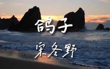 鸽子吉他谱_宋冬野_E调指法原版弹唱谱_图片六线谱