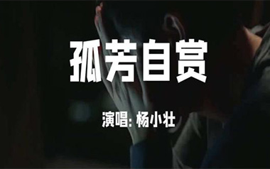 孤芳自赏吉他谱_杨小壮_C调指法原版弹唱谱_图片六线谱