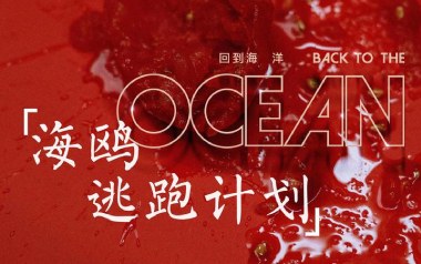 海鸥吉他谱_逃跑计划_G调指法原版弹唱谱_图片六线谱