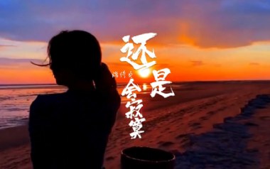 还是会寂寞吉他谱_陈绮贞_C调指法弹唱谱_图片六线谱