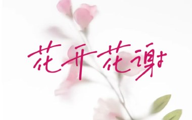 花开花谢花漫天吉他谱_罗哥_G调扫弦版弹唱谱_图片六线谱