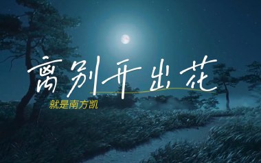 离别开出花吉他谱_就是南方凯_G调指法弹唱谱_图片六线谱