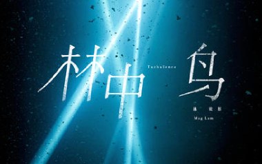 林中鸟吉他谱_葛林_C调指法扫弦版弹唱谱_图片六线谱