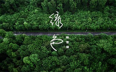 绿色吉他谱_陈雪凝_C调扫弦简单版_图片六线谱