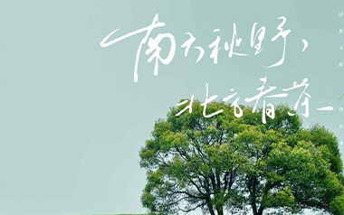 南方秋野北方春茶吉他谱_张远_C调原版弹唱谱_图片六线谱