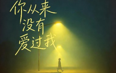你从来没有爱过我吉他谱_励明_C调原版弹唱谱_图片六线谱