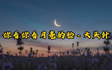 你看你看月亮的脸吉他谱_大头针_C调原版弹唱谱_图片六线谱