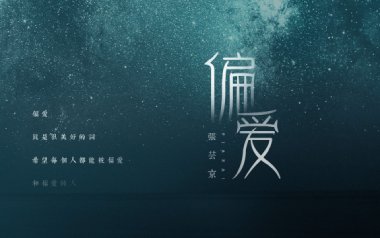 偏爱吉他谱_张芸京_G调指法简单版弹唱谱_图片六线谱