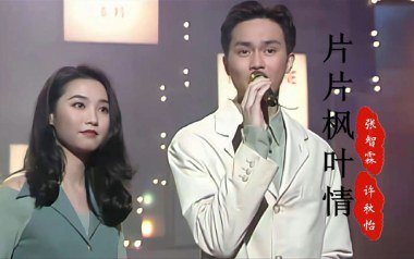 片片枫叶情吉他谱_张智霖/许秋怡_G调原版_图片六线谱