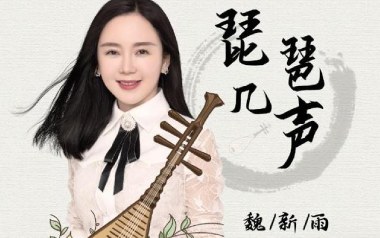 琵琶几声吉他谱_魏新雨_C调原版弹唱谱_图片六线谱