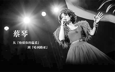 恰似你的温柔吉他谱_蔡琴_C调原版弹唱谱_图片六线谱