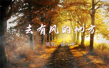 去有风的地方吉他谱_郁可唯_G调原版弹唱谱_图片六线谱