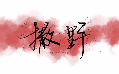 撒野吉他谱_凯瑟喵_C调指法简单版弹唱谱_图片六线谱