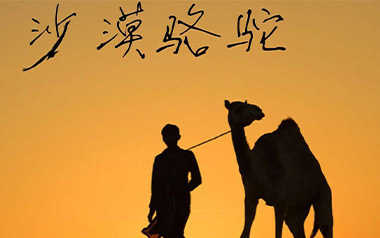 沙漠骆驼吉他谱_展展与罗罗_C调弹唱谱_图片六线谱