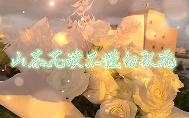 山茶花读不懂白玫瑰吉他谱_柯柯柯啊_C调指法_图片六线谱