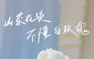 山茶花读不懂白玫瑰吉他谱_Lil_G调原版_图片六线谱