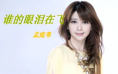 谁的眼泪在飞吉他谱_孟庭苇_C调原版弹唱谱_图片六线谱
