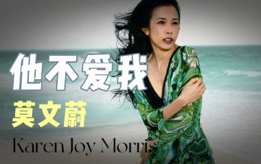 他不爱我吉他谱_莫文蔚_G调指法原版弹唱谱_图片六线谱