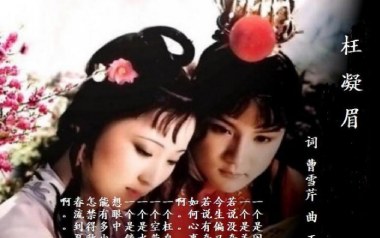 枉凝眉吉他谱_陈力_C调原版弹唱谱_图片六线谱