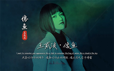 像鱼吉他谱_王贰浪_C调指法原版弹唱谱_图片六线谱