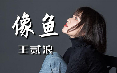 像鱼吉他谱_王贰浪_G调原版弹唱谱_图片六线谱