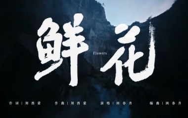 鲜花吉他谱_回春丹乐队_C调指法弹唱谱_图片六线谱