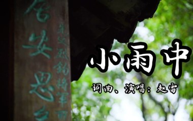 小雨中吉他谱_赵雷_C调指法原版弹唱谱_图片六线谱