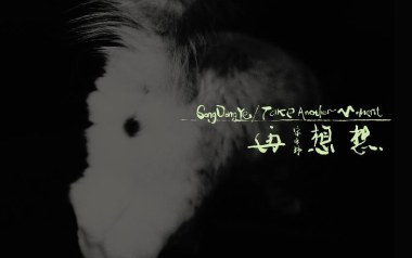 谢谢你吉他谱_宋冬野_C调原版弹唱谱_图片六线谱