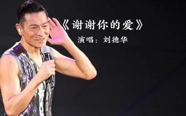 谢谢你的爱吉他谱_刘德华_G调指法弹唱谱_图片六线谱