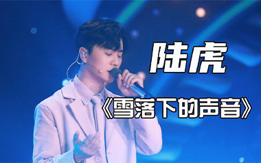 雪落下的声音吉他谱_陆虎_C调简单版弹唱谱_图片六线谱