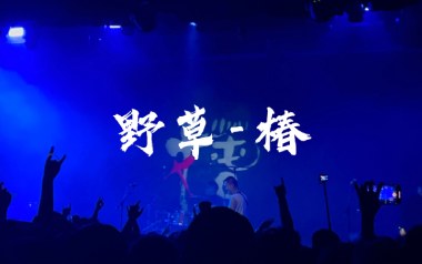 野草吉他谱_椿乐队_C调指法原版弹唱谱_图片六线谱