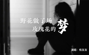 野花做了场玫瑰花的梦吉他谱_杨友友_C调原版_图片六线谱