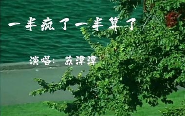 一半疯了一半算了吉他谱_苏谭谭_G调原版弹唱谱_图片六线谱