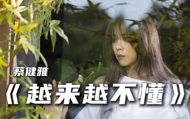 越来越不懂吉他谱_蔡健雅_C调指法弹唱谱_图片六线谱