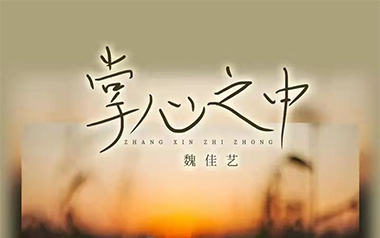 掌心之中吉他谱_魏佳艺_G调原版弹唱谱_图片六线谱