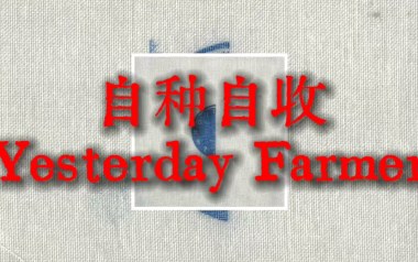 自种自收吉他谱_杨世暄_G调原版弹唱谱_图片六线谱